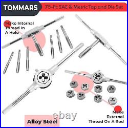 75-Pc Tap and Die Set, SAE & Metric Hex Thread Taps Dies Wrench Metric Sizes